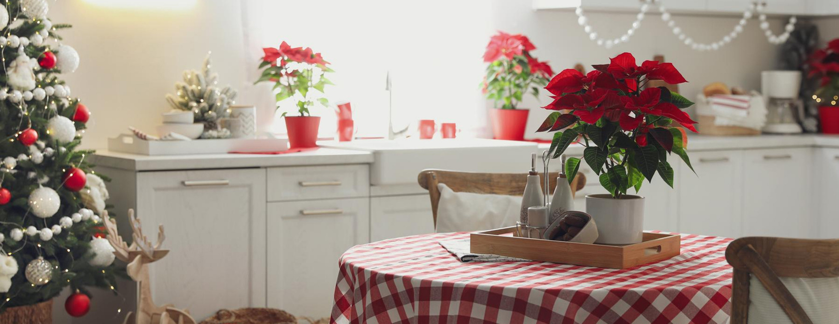 ROLEN — Кухни для всей семьи